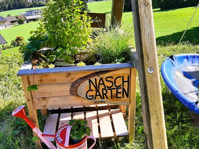 Bild 29 aus  Staudach