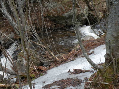 Bild 38 aus  Kollmannbauer