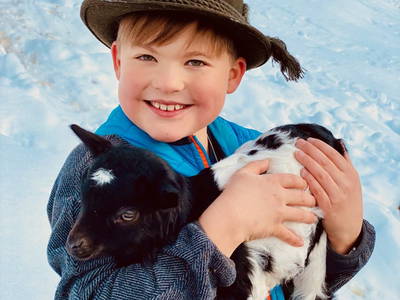 Bild 113 aus  Ederbauer