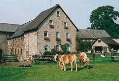 Schneidmühle - Bild 1