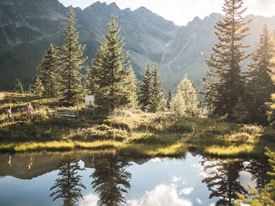 Bild 27 aus  Nature House