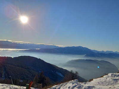 Bild 57 aus  Sonnhof