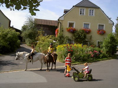 Bild 2 aus  Georgihof