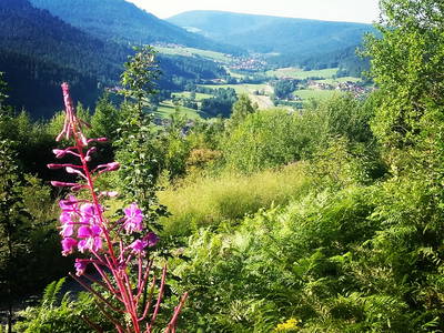 Bild 30 aus  Goldener Hahn - Hyggeliges Aparthotel mit Frühstücksbuffet, Pool & Sauna