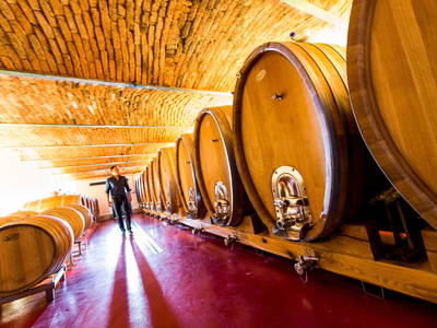 Bild 34 aus  Weingut Krispel