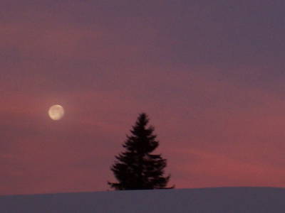 Bild 42 aus  Trialhof Schaureith