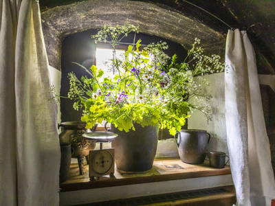 Bild 94 aus  Schwaigerlehen - Berngarten