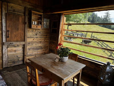 Bild 67 aus  Almhütte Bodner-Kammer