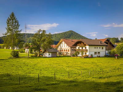 Bild 18 aus  Bio Bauernhof Paulbauer