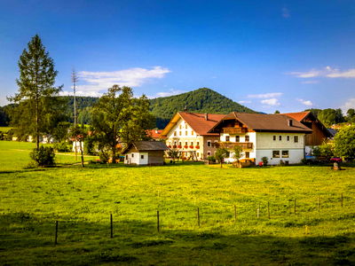 Bild 18 aus Bio Bauernhof Paulbauer