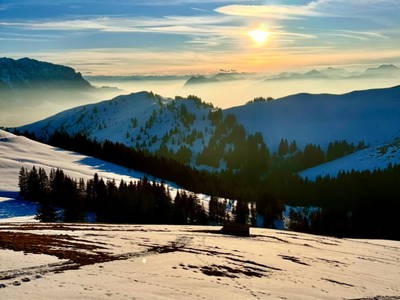 Bild 61 aus  Lochner Alm