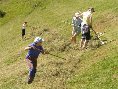 Bild 25 aus  Weifer Biobauernhof