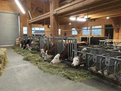 Bild 60 aus  Landhaus Eiter