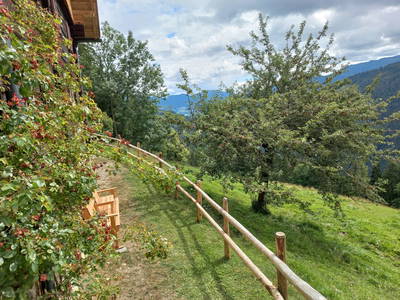 Bild 36 aus  Berghütte Reissnerhof