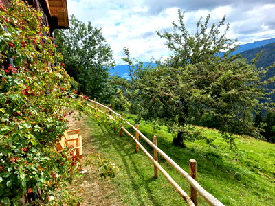 Bild 58 aus Berghütte Reissnerhof