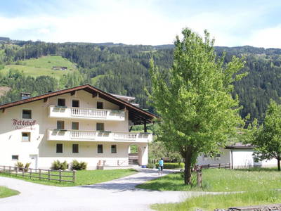 Bild 17 aus  Fehlehof