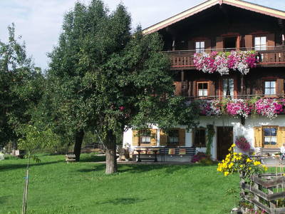 Bild 65 aus  Blattlbauer