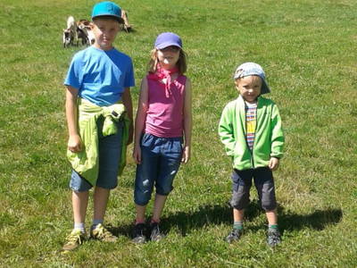 Bild 17 aus  Sportbauernhof Hochalmblick