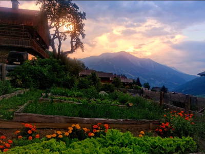 Bild 97 aus  Mortnerhof