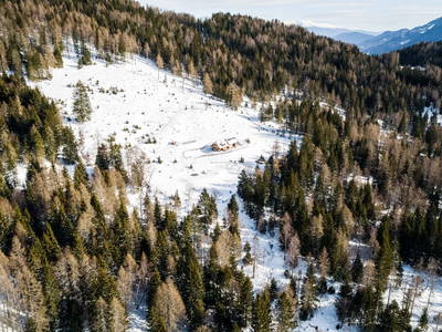 Bild 105 aus  Almchalet Nikola