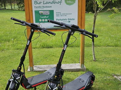 Bild 71 aus Ferienhaus Buxbaum