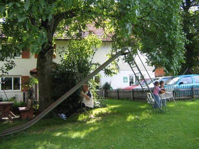 Bild 3 aus  Ferienhof-Roller