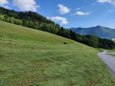 Bild 26 aus  Ferienhaus Englbrecht