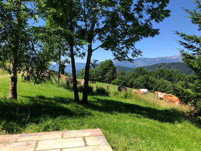 Bild 8 aus  Lutzmannalm