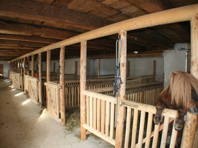 Bild 78 aus  Miniponyhof Wild