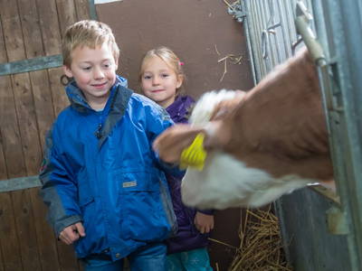 Bild 16 aus  Wermenerhof