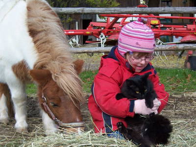 Bild 56 aus  Schönlehenhof