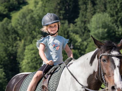 Bild 192 aus  Bio Bauernhof Tobhartbauer