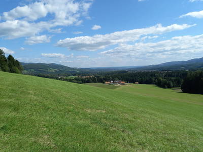 Bild 4 aus  Pircherhof - Adults Only am Biobauernhof