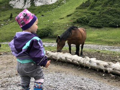 Bild 45 aus  Margreitterhof