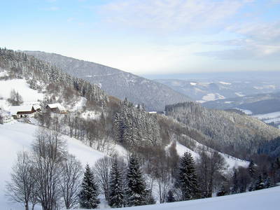 Bild 20 aus  Almbauer