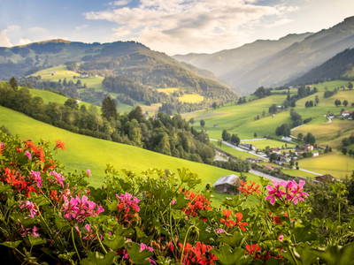 Bild 4 aus  Ederbauer