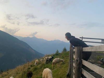 Bild 131 aus  Wallneralm