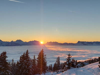 Bild 103 aus  Reitlhof am Sonnenhang   Bio-Bergbauernhof bei Salzburg 
