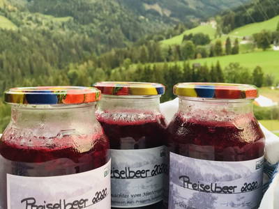 Bild 56 aus  Hinteregger