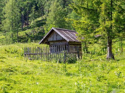 Bild 20 aus  Neuwirth Hütte