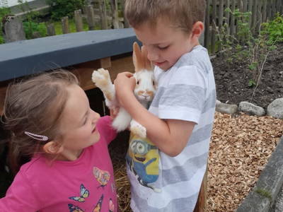 Bild 18 aus  Oberrehau