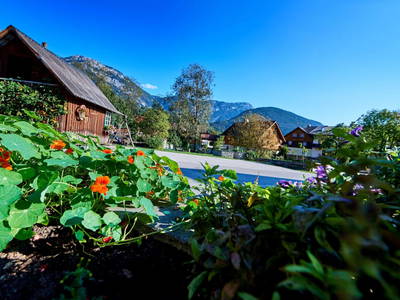 Bild 130 aus  Linharterhof Zimmer