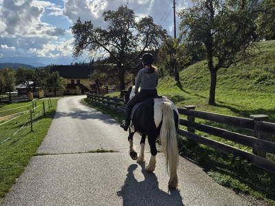 Bild 29 aus  Essleggerhof