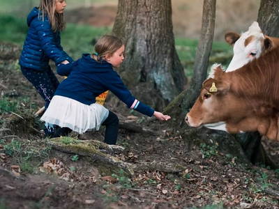 Bild 8 aus  Waldbachhof