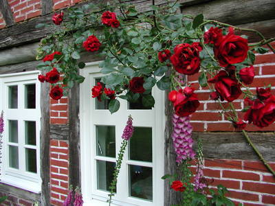 Bild 22 aus  Hof Höpen