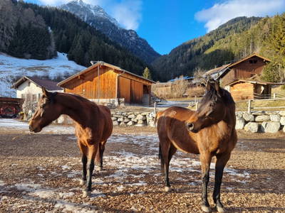 Bild 110 aus  Kassnhof