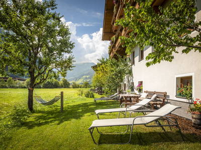 Bild 18 aus  Hinterhub