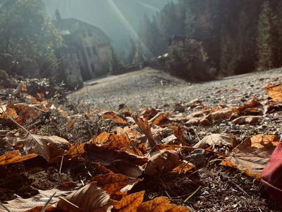 Bild 33 aus  Tom's Alpenhütte