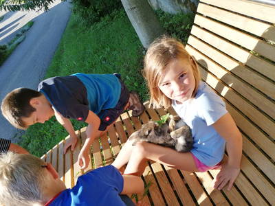 Bild 17 aus  Familie Resch am Hörlesberg