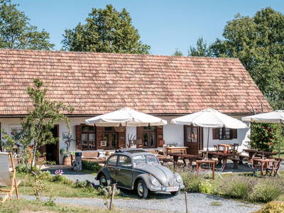 Bild 4 aus  Weinek's Kellerstöckl